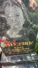 Захоронение ID 3572872
