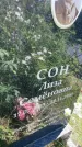 Захоронение ID 3572897