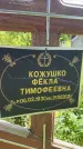 Захоронение ID 3572901