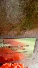 Захоронение ID 3573195