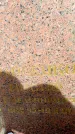 Захоронение ID 3573219