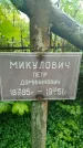 Захоронение ID 3573253