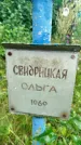 Захоронение ID 3573285