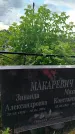 Захоронение ID 3573313