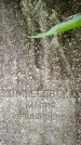 Захоронение ID 3573329