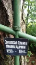 Захоронение ID 3573342