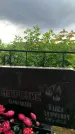 Захоронение ID 3573365