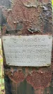 Захоронение ID 3573428
