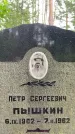Захоронение ID 3573474
