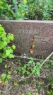 Захоронение ID 3573961