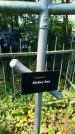 Захоронение ID 3573753