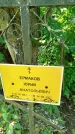 Захоронение ID 3573763