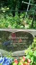 Захоронение ID 3573787