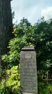 Захоронение ID 3573790