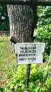Захоронение ID 3573796