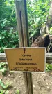 Захоронение ID 3573815