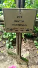 Захоронение ID 3573816