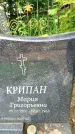 Захоронение ID 3573822