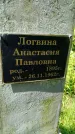 Захоронение ID 3573919