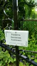 Захоронение ID 3573933
