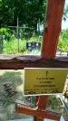 Захоронение ID 3573973