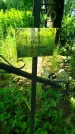 Захоронение ID 3574012