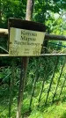 Захоронение ID 3574050