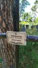 Захоронение ID 3574058