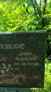 Захоронение ID 3574104