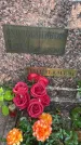 Захоронение ID 3574105