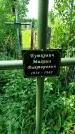 Захоронение ID 3574141