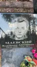 Захоронение ID 3574198