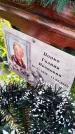 Захоронение ID 3574334