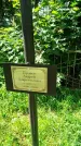 Захоронение ID 3574345