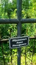 Захоронение ID 3574352