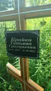 Захоронение ID 3574377