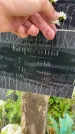 Захоронение ID 3574403