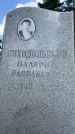 Захоронение ID 3574404
