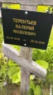 Захоронение ID 3574478