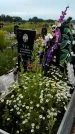 Захоронение ID 3574481