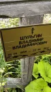 Захоронение ID 3574631