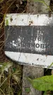 Захоронение ID 3574690