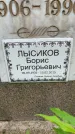 Захоронение ID 3574726