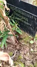 Захоронение ID 3574765