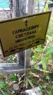 Захоронение ID 3574766