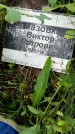 Захоронение ID 3574781