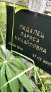 Захоронение ID 3574788