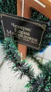 Захоронение ID 3574839