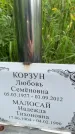 Захоронение ID 3574846