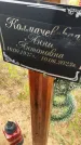 Захоронение ID 3574944